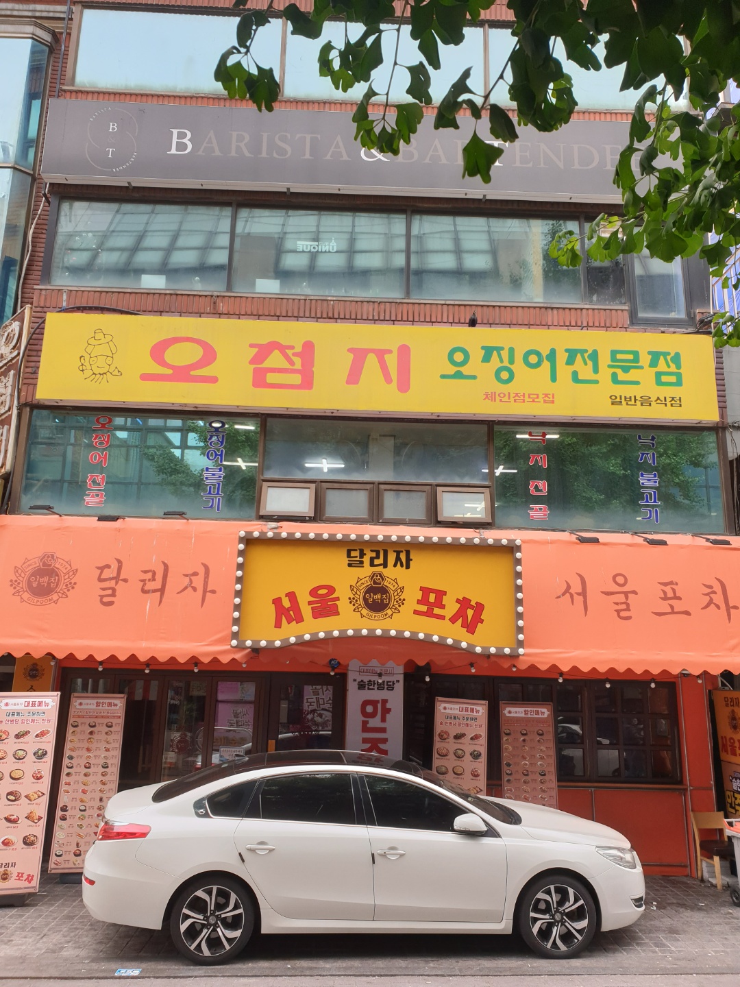 오첨지 사진 5