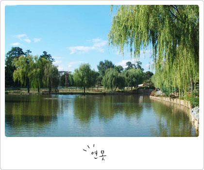 용산가족공원 사진 4