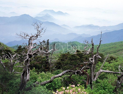 소백산 사진 1