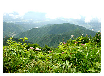 소백산 사진 2