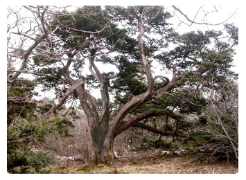 소백산 사진 3
