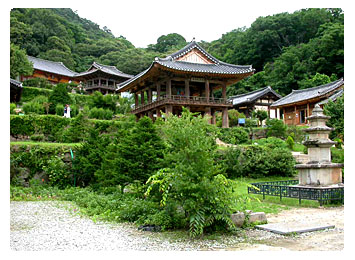 소백산 사진 5