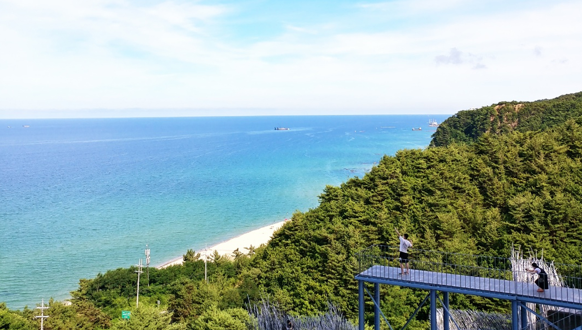 하슬라아트월드 사진 3