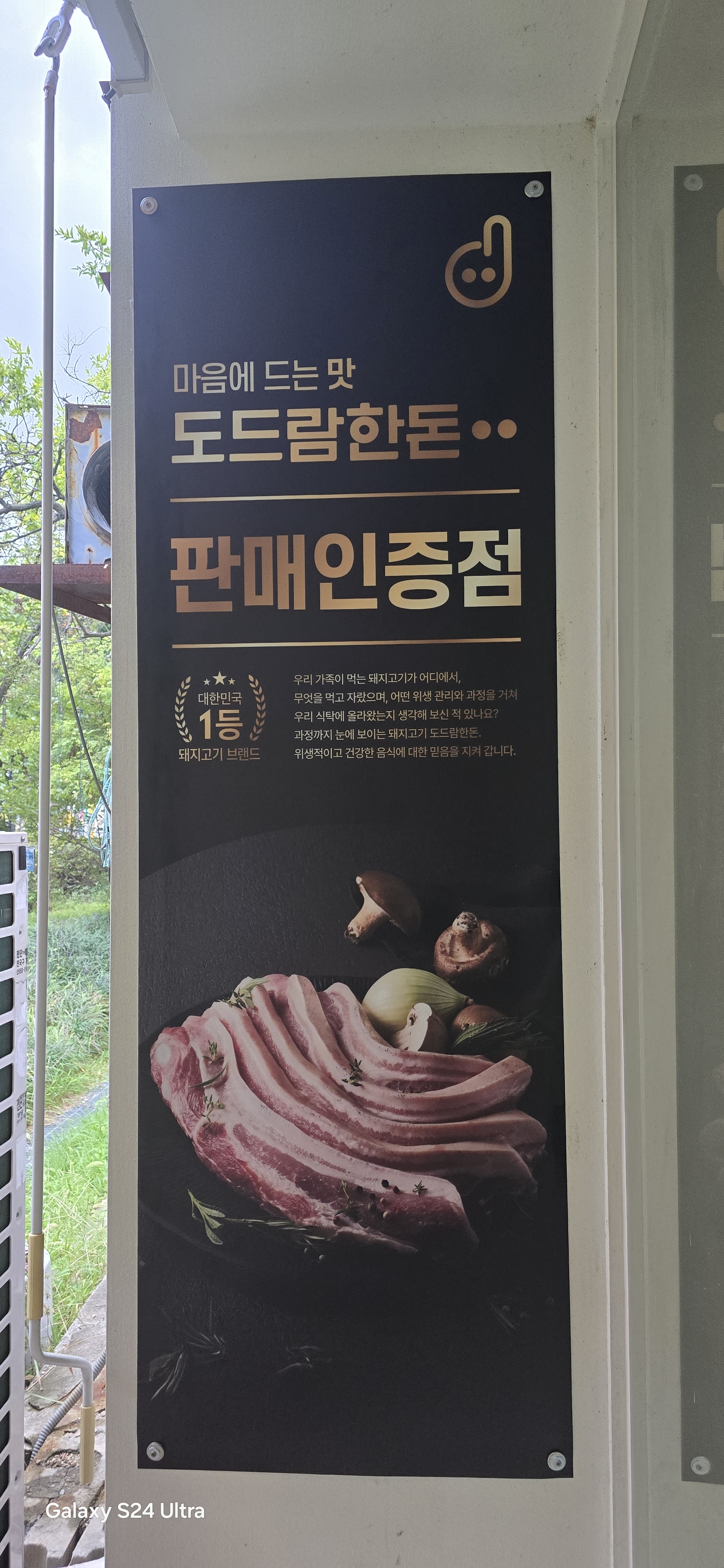 카츠오름 사진 3