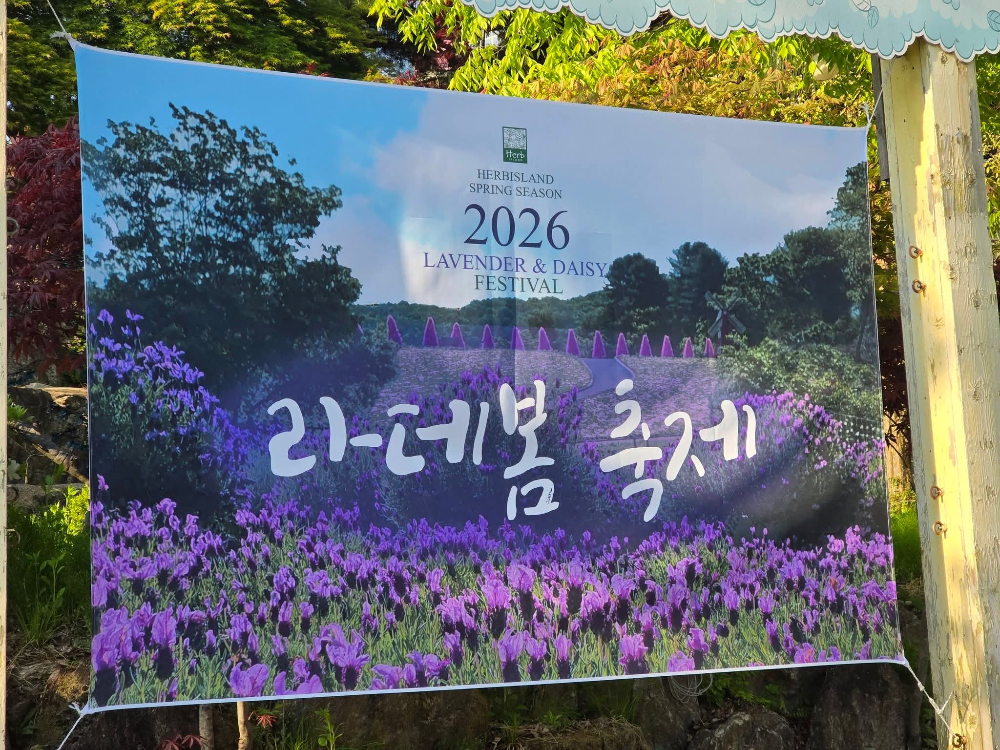 허브아일랜드 사진 3