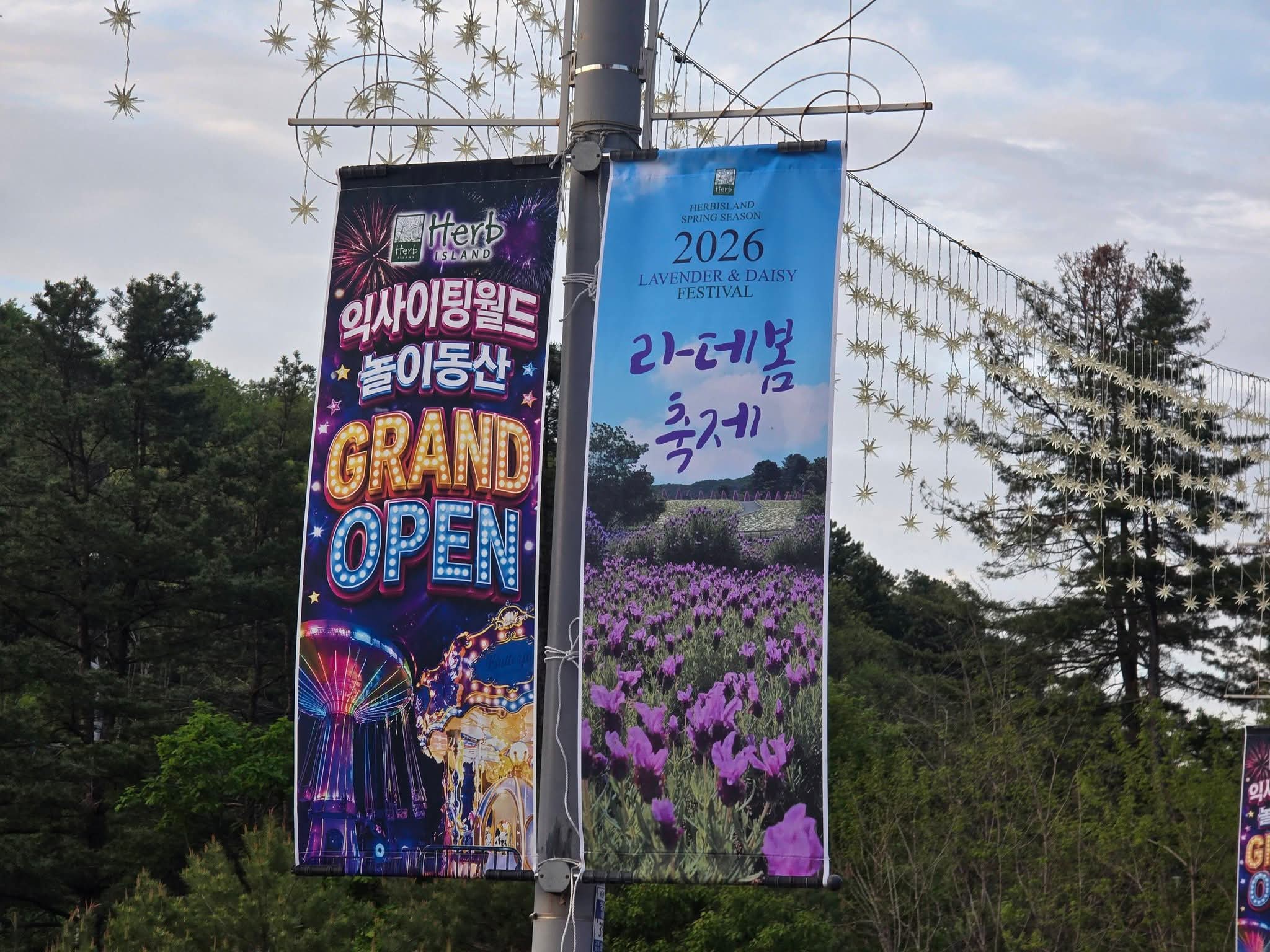 허브아일랜드 사진 4
