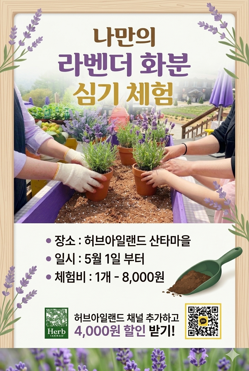 허브아일랜드 사진 5