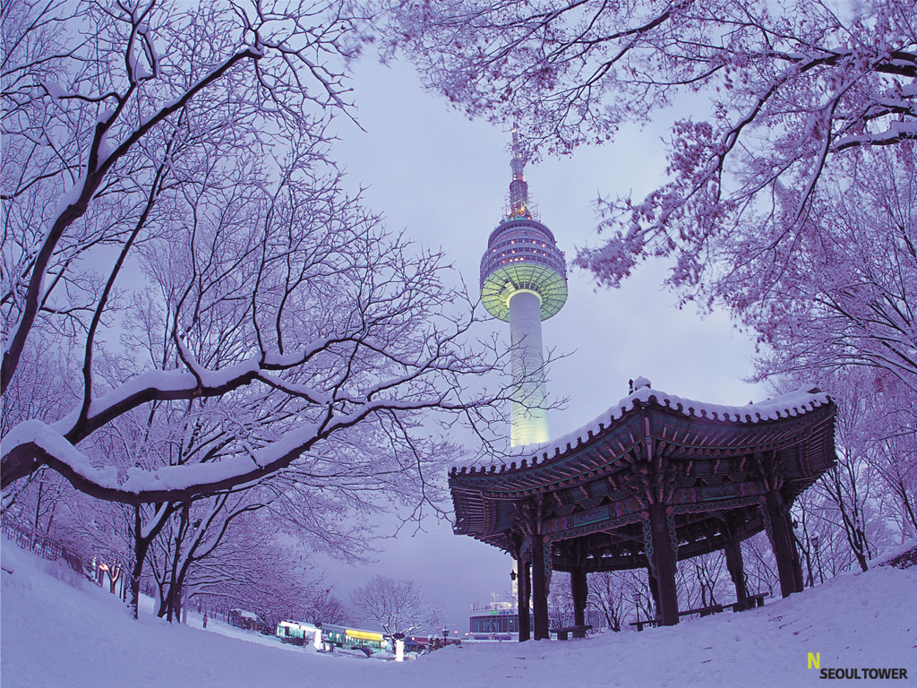 N서울타워 사진 3