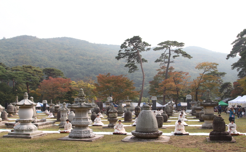 통도사 사진 5