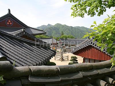 해인사 사진 2