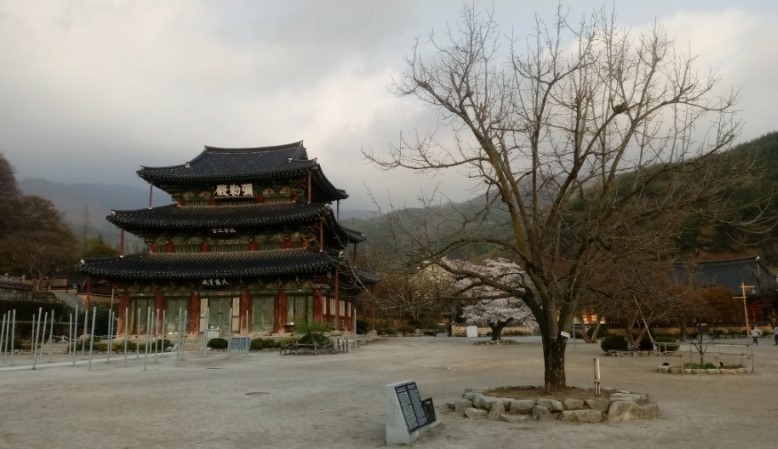 김제금산사 사진 3