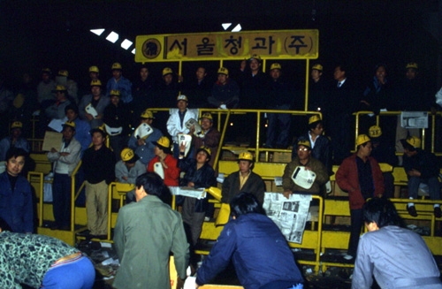 가락농수산물종합도매시장 사진 2
