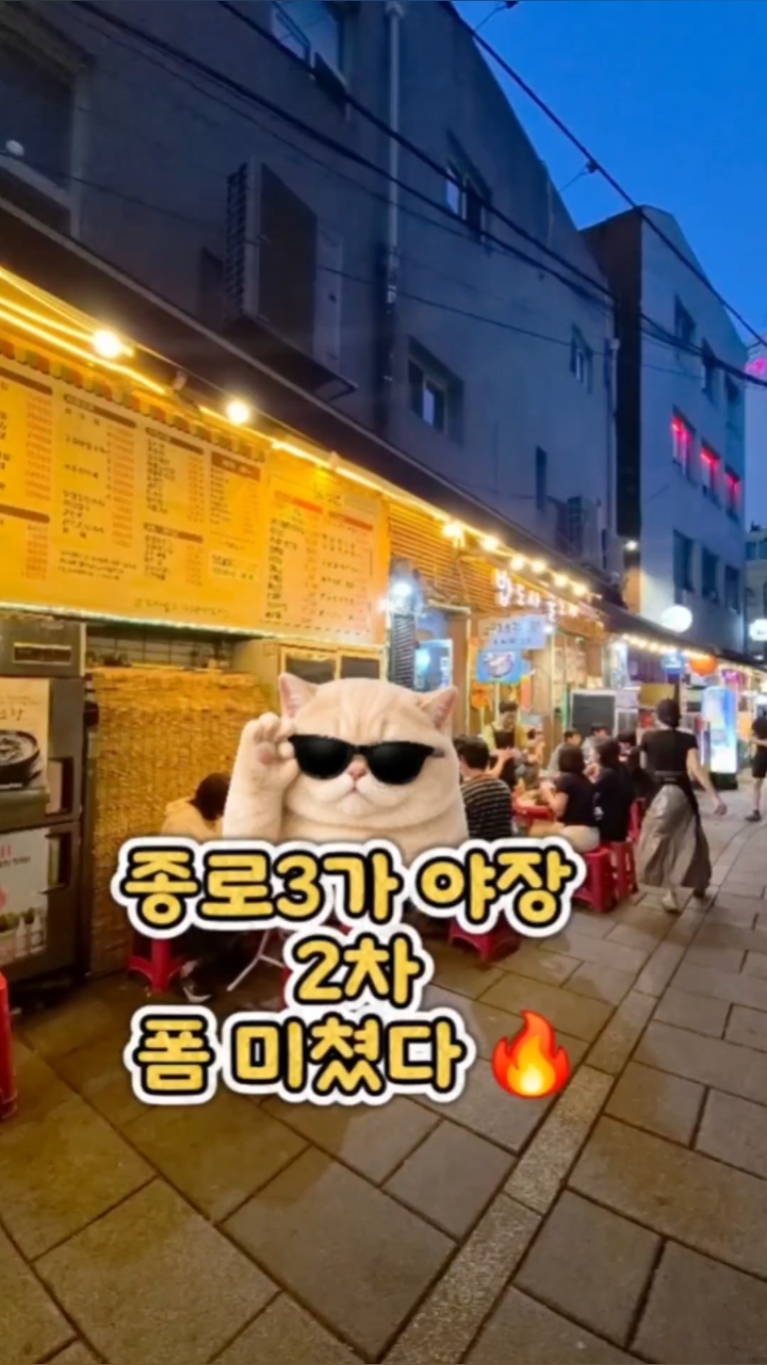 밥도사술도사 사진 2