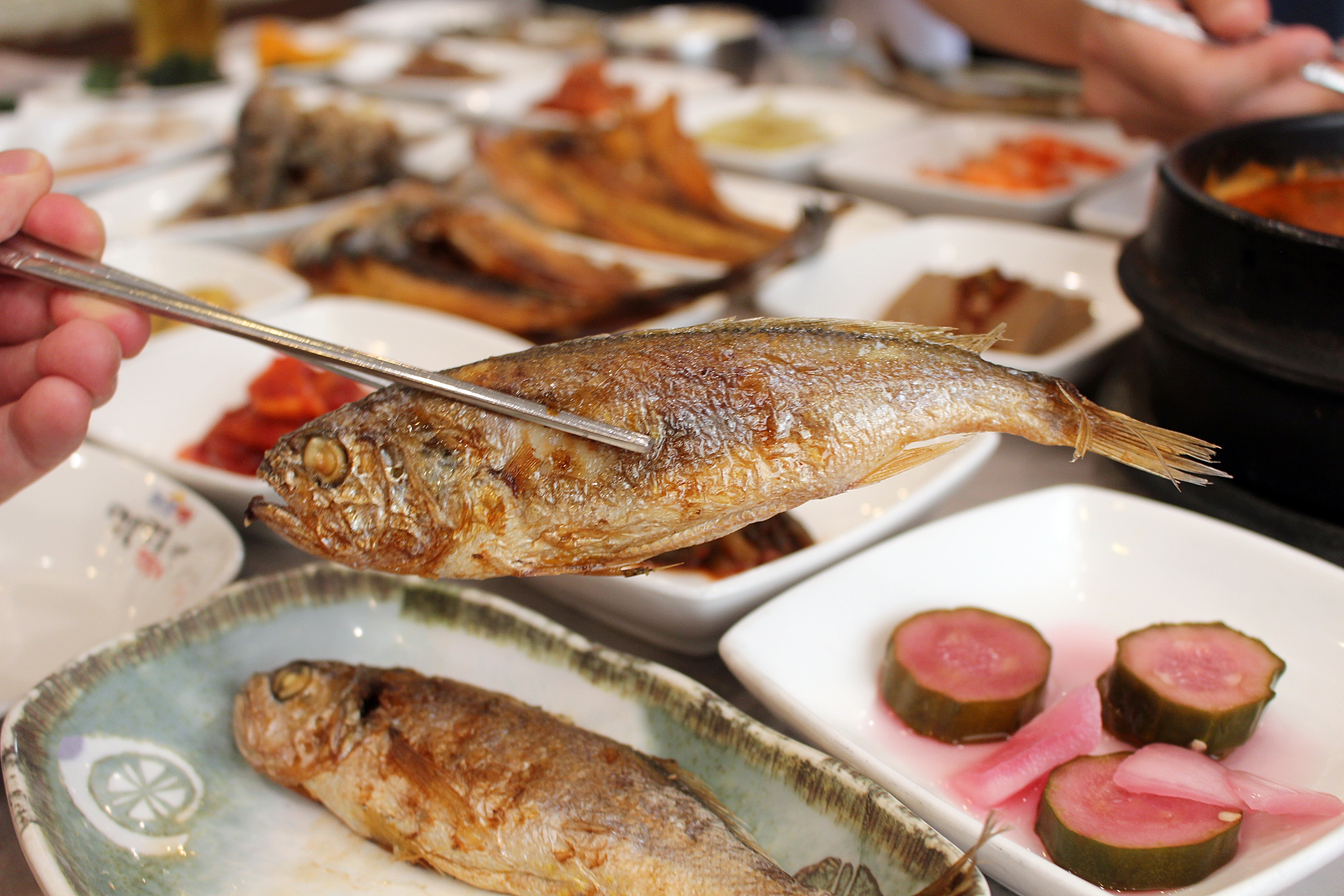 국제식당 사진 2