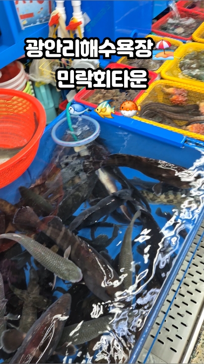 민락회타운 사진 3
