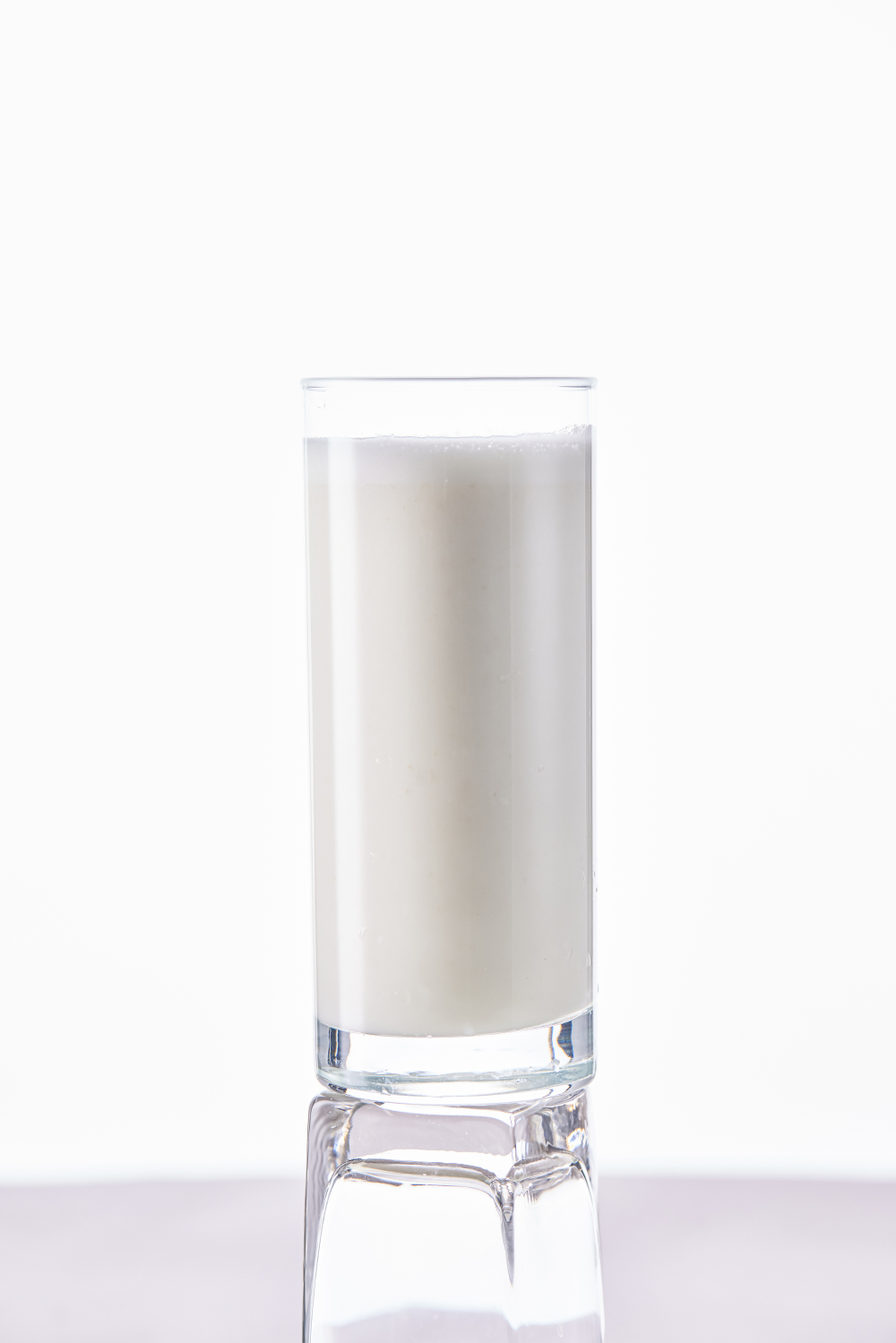 송죽 사진 4