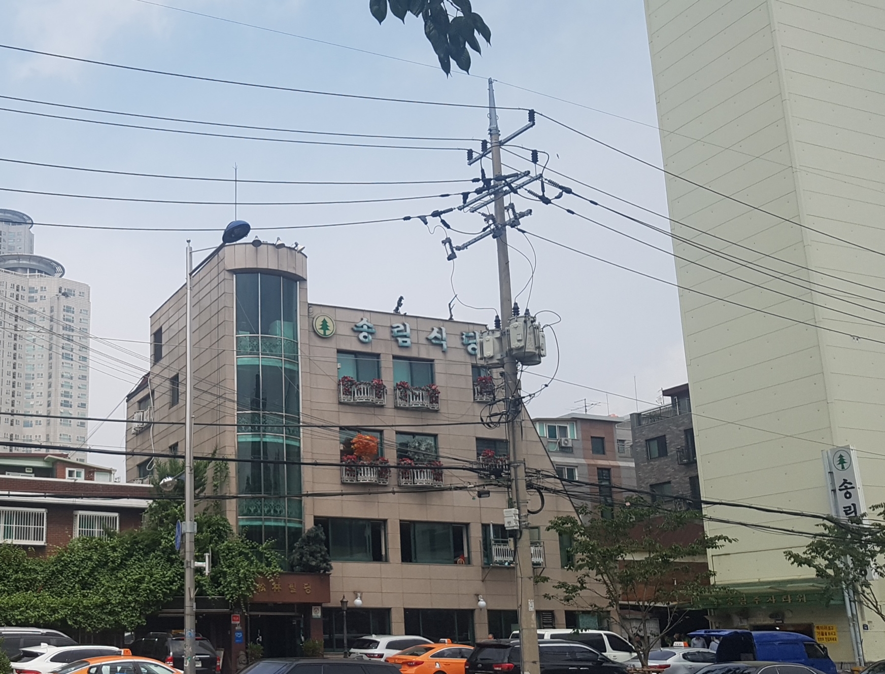 송림식당 사진
