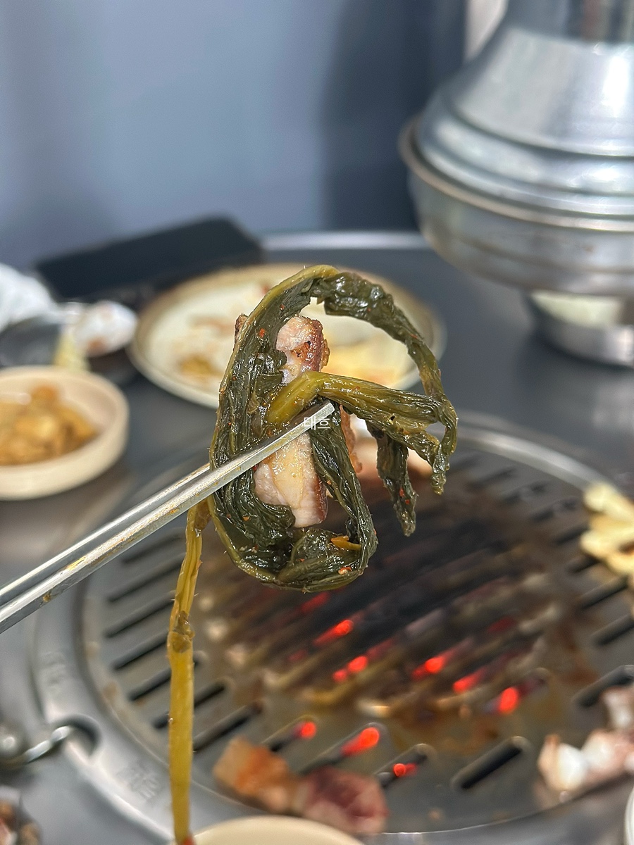나주개미집 사진 4