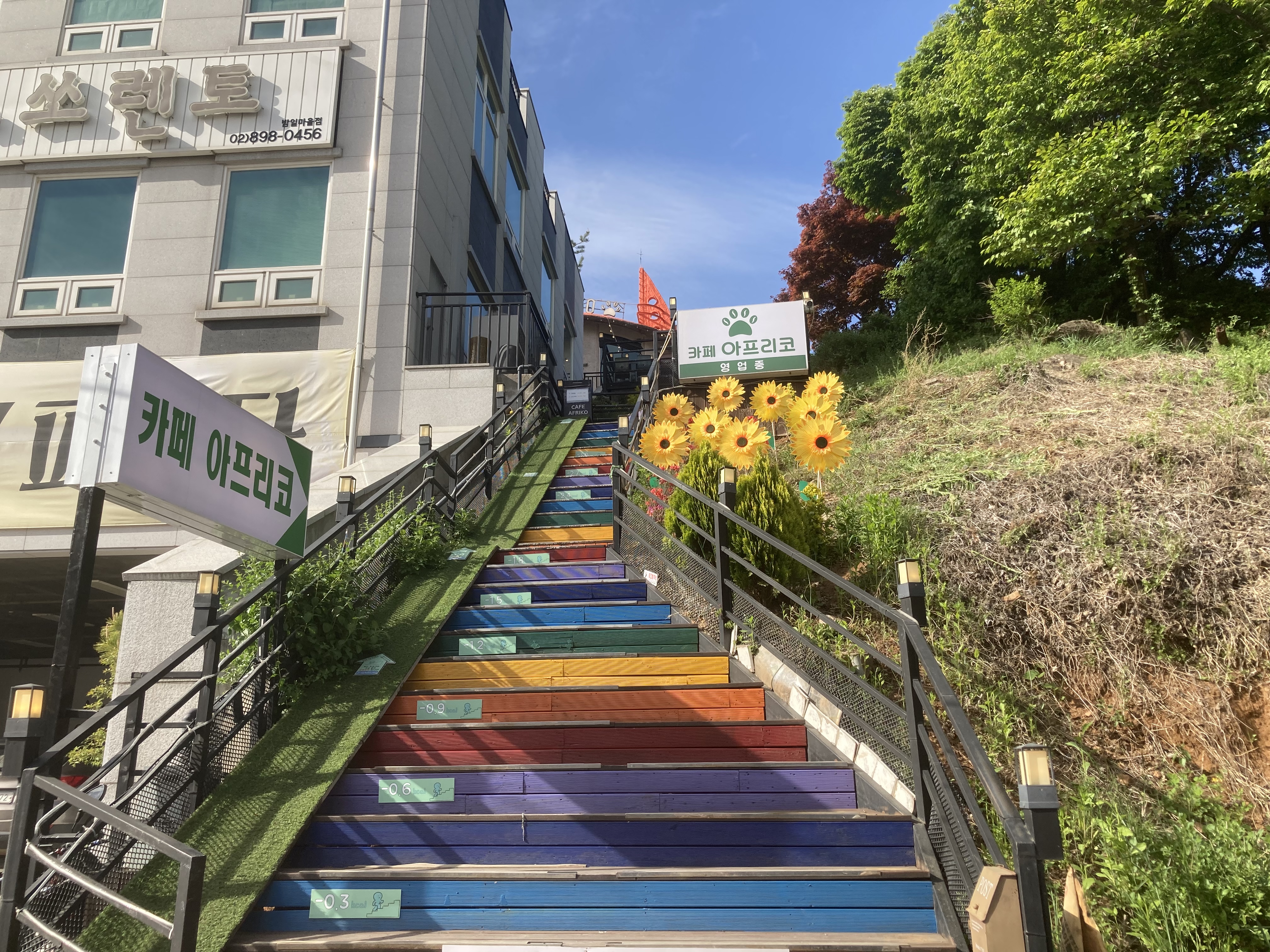 아프리코 사진 4