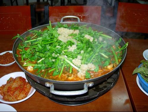 부산갈매기 사진 1