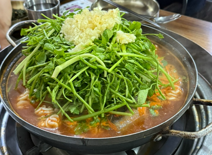 부산갈매기 사진 4