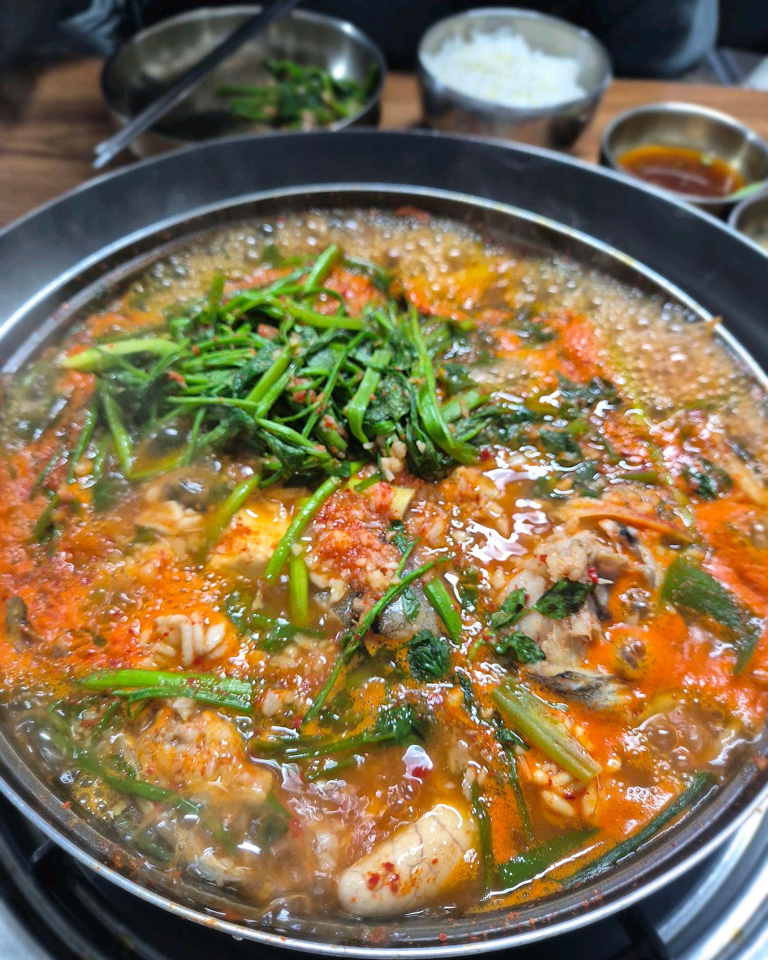 부산갈매기 사진 5