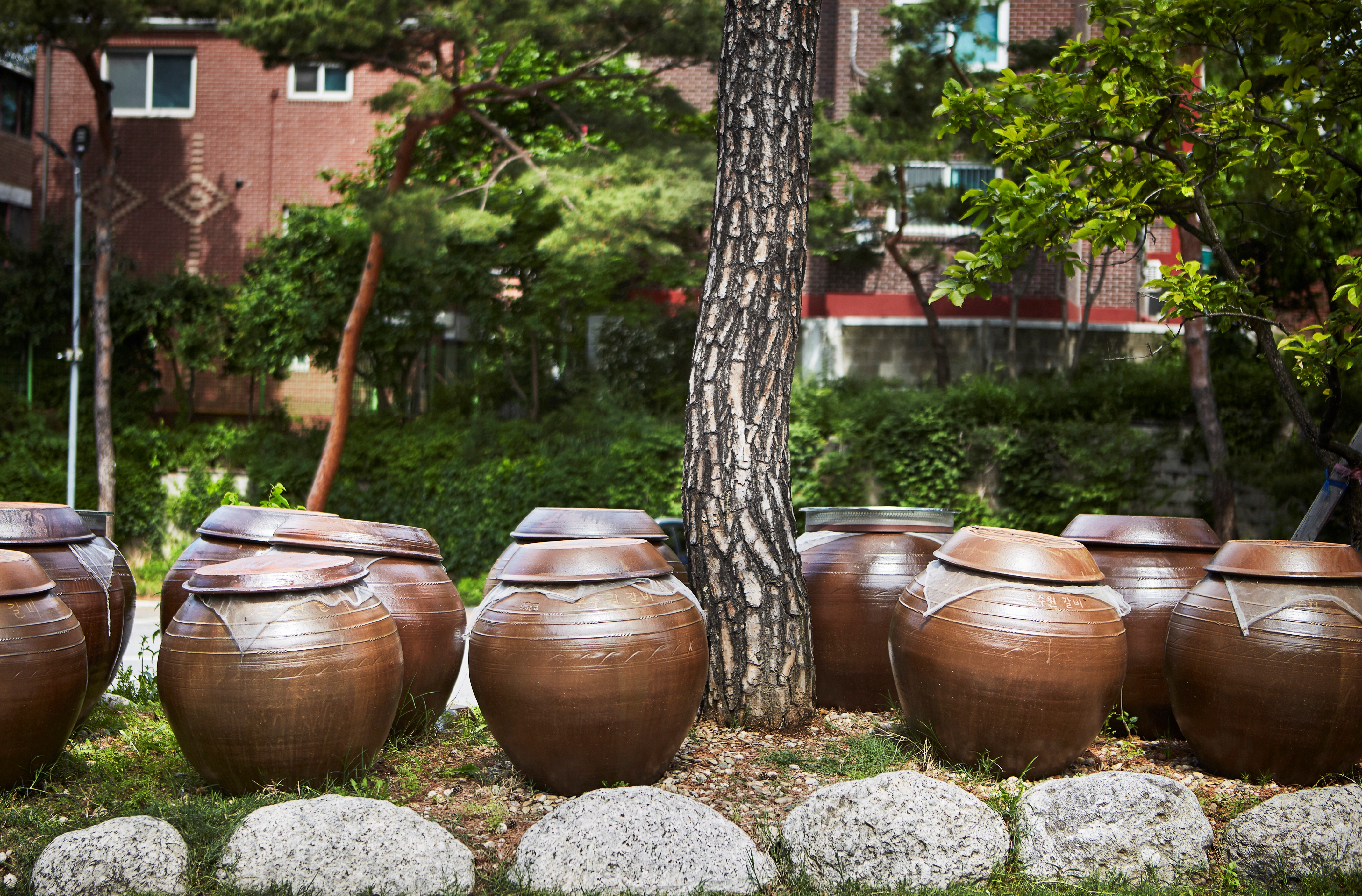 본수원갈비 사진 4