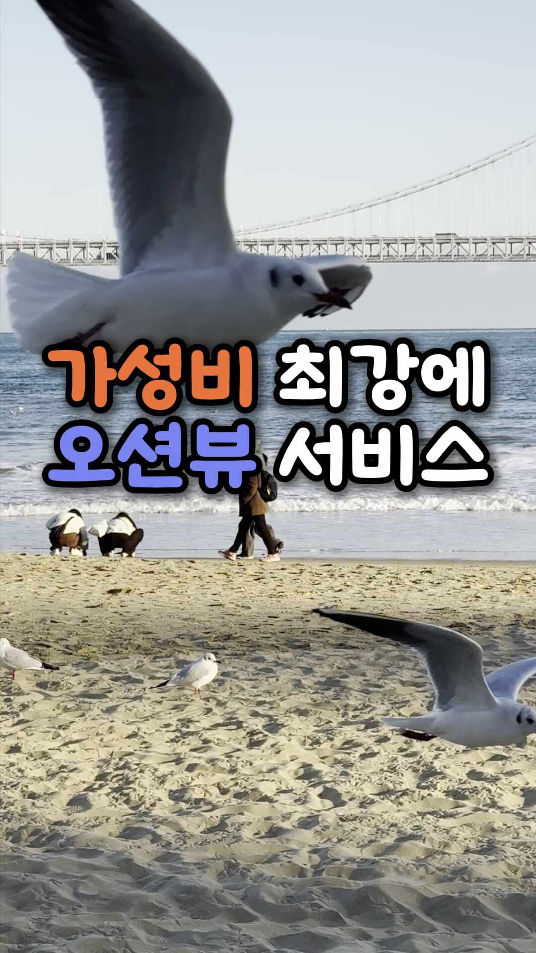 광안리 진미횟집 사진 2