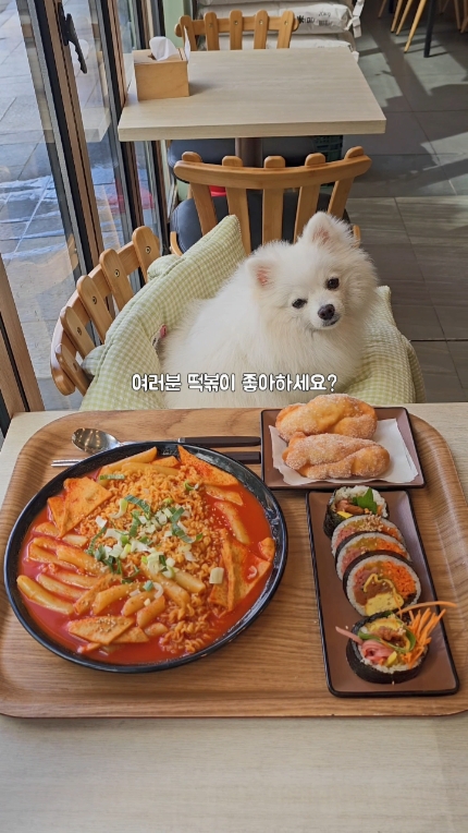 법대생 팔뚝김밥 사진 2