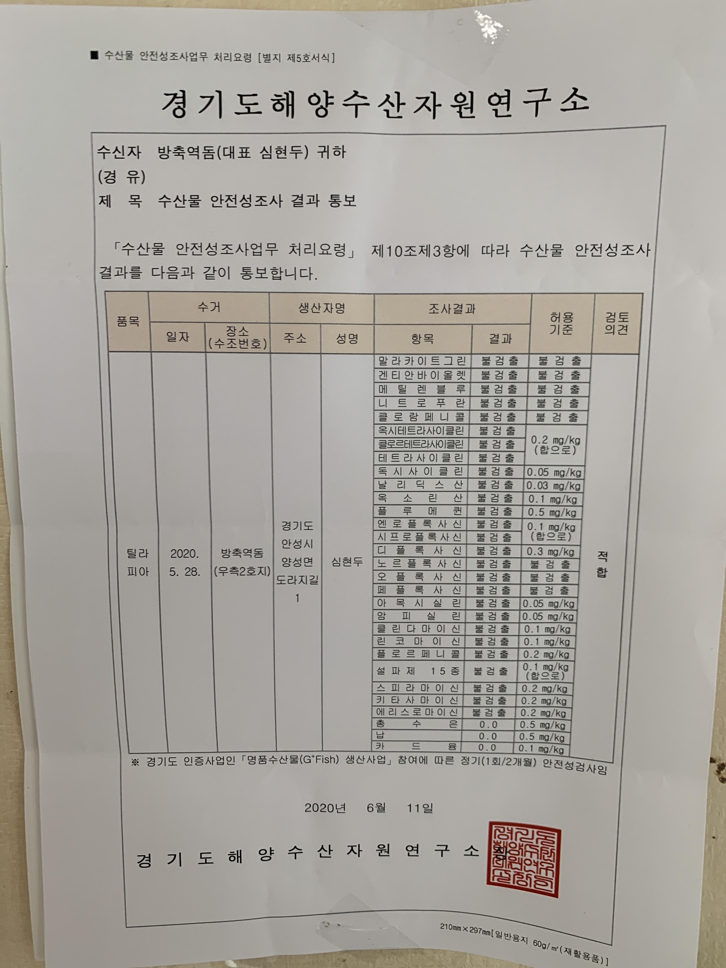 방축역돔횟집 사진 3