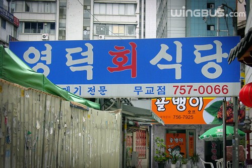 영덕회식당 시청점 사진 1