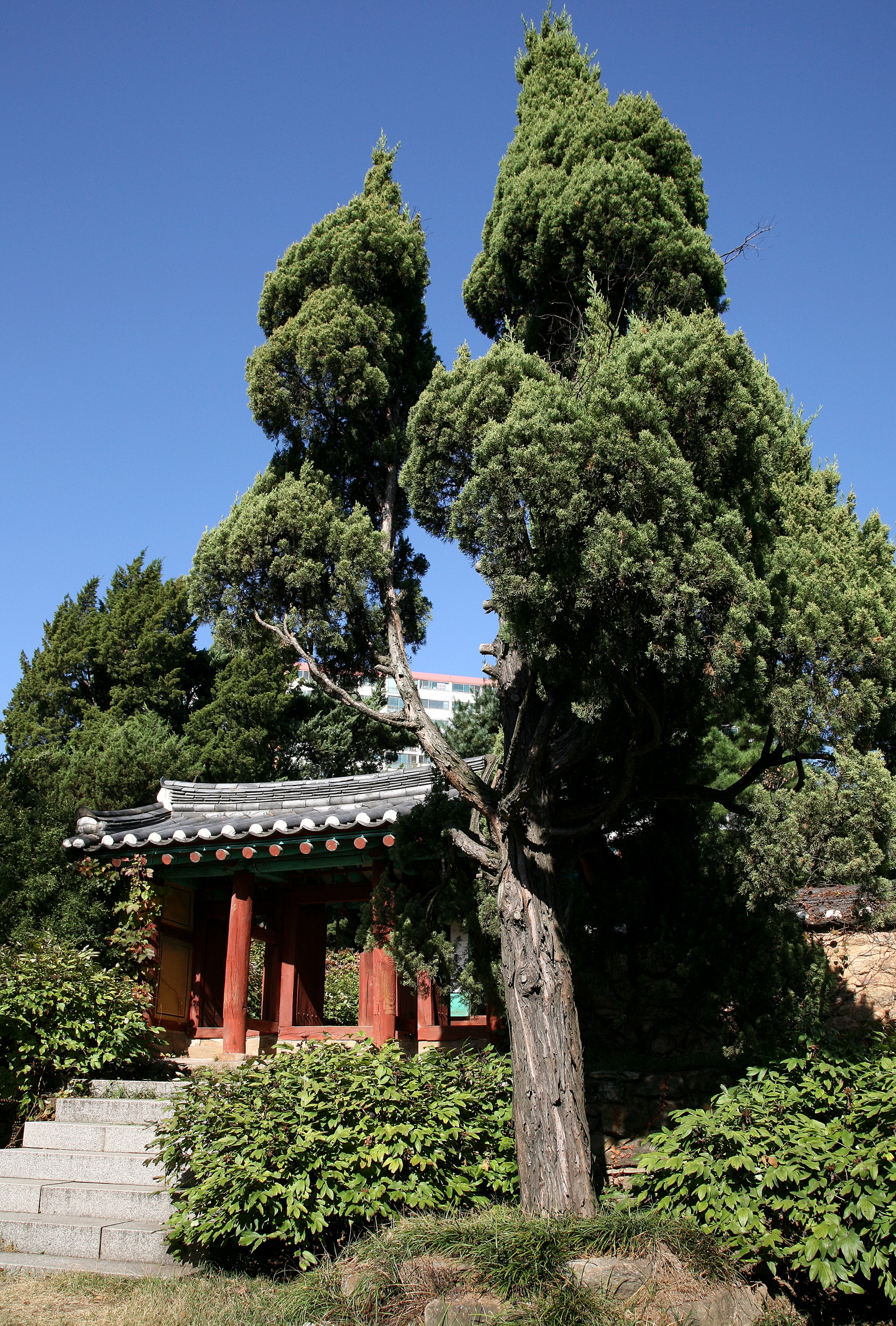 충현박물관 사진 1