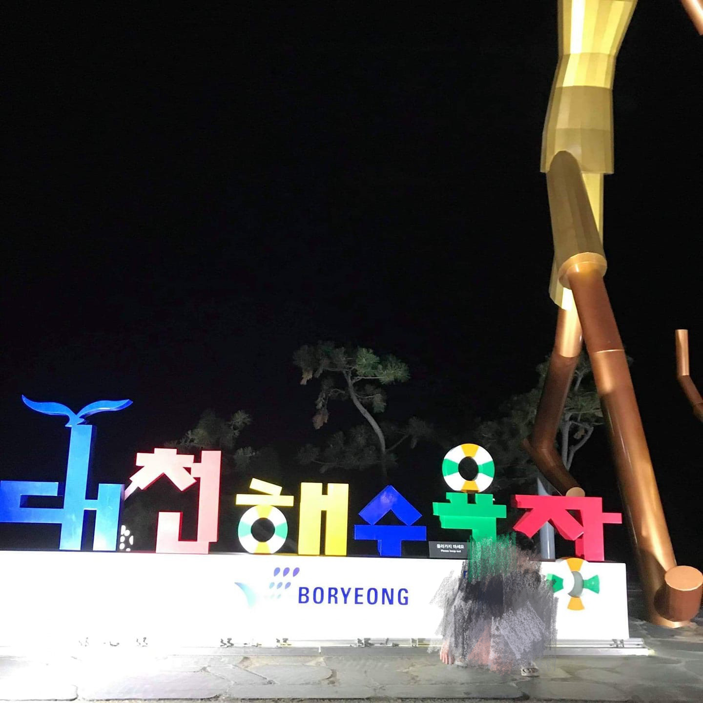 대천해수욕장 사진 2