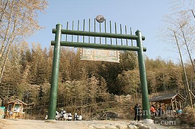 죽녹원 사진 1