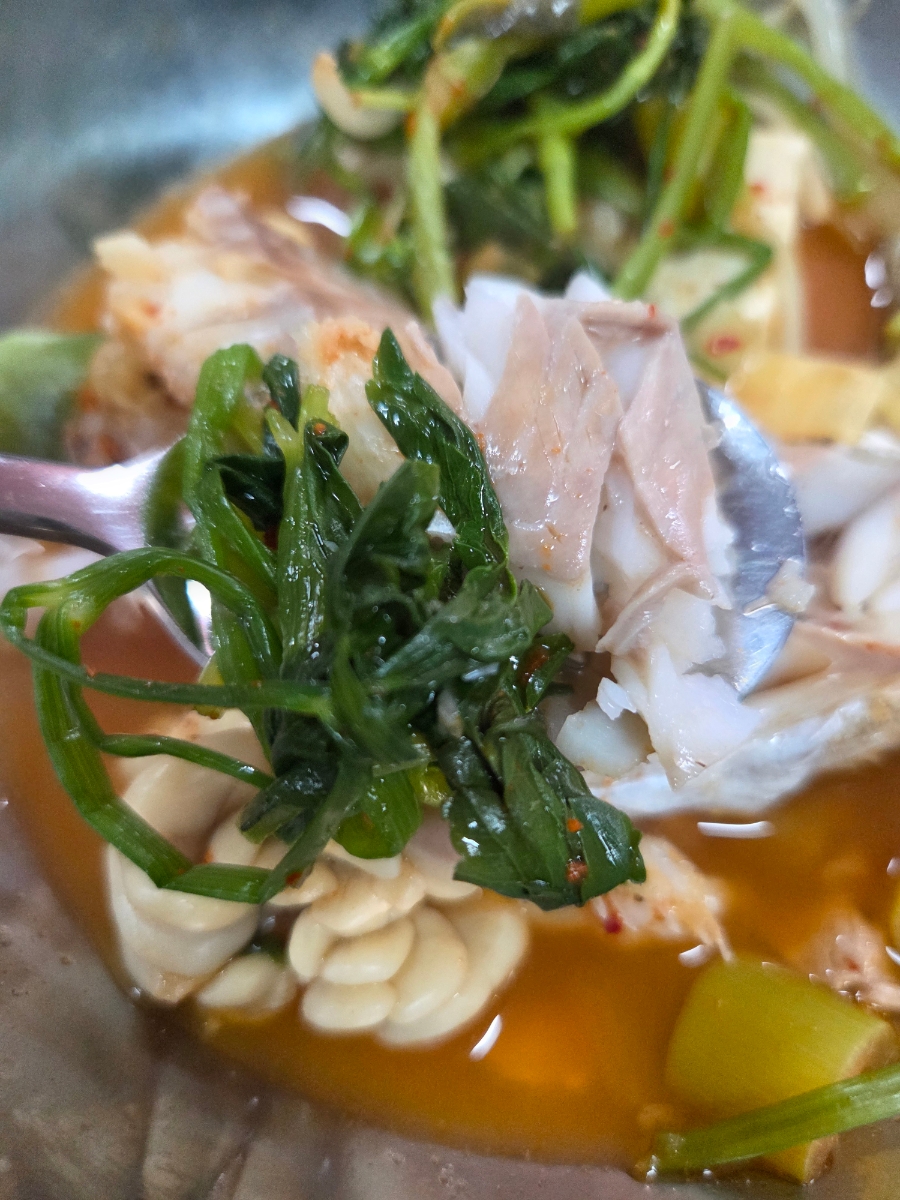 원조한치 사진 4