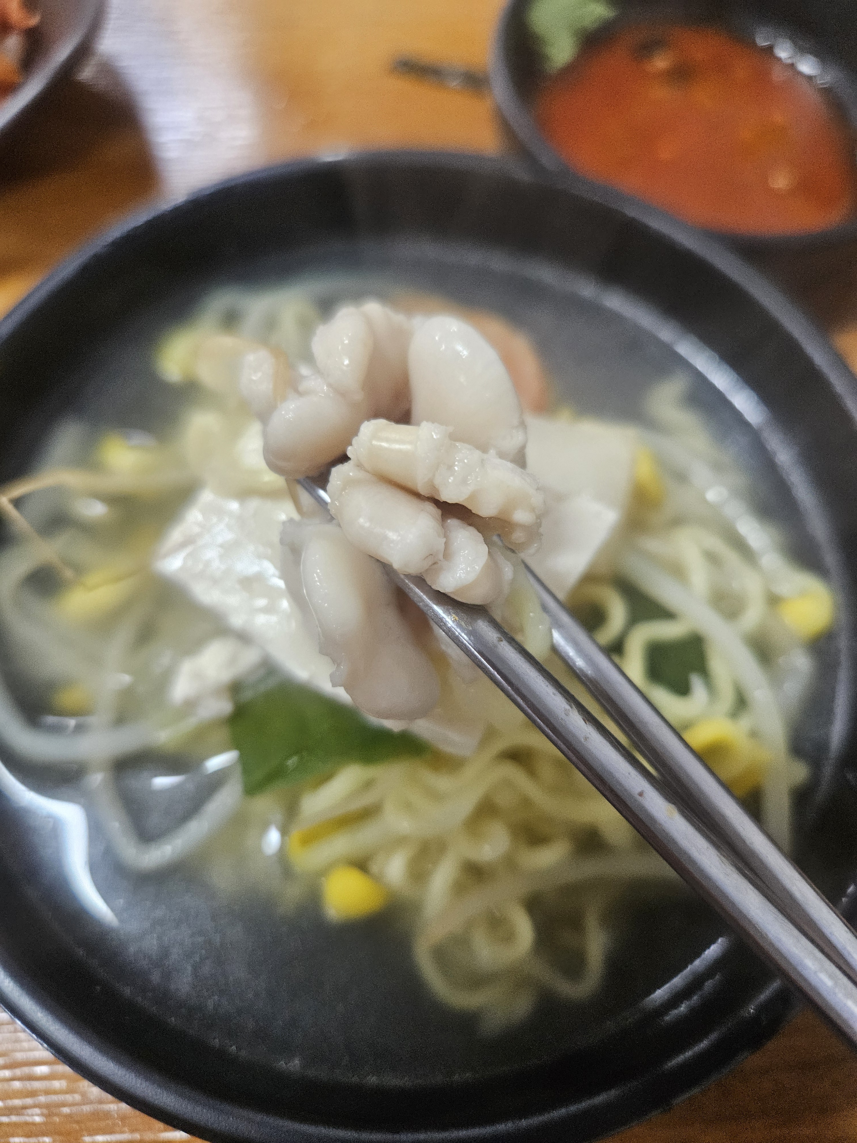 원조한치 사진 5
