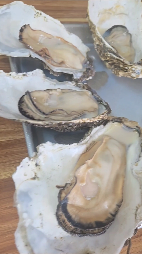 어천장어 벚굴식당 사진 2