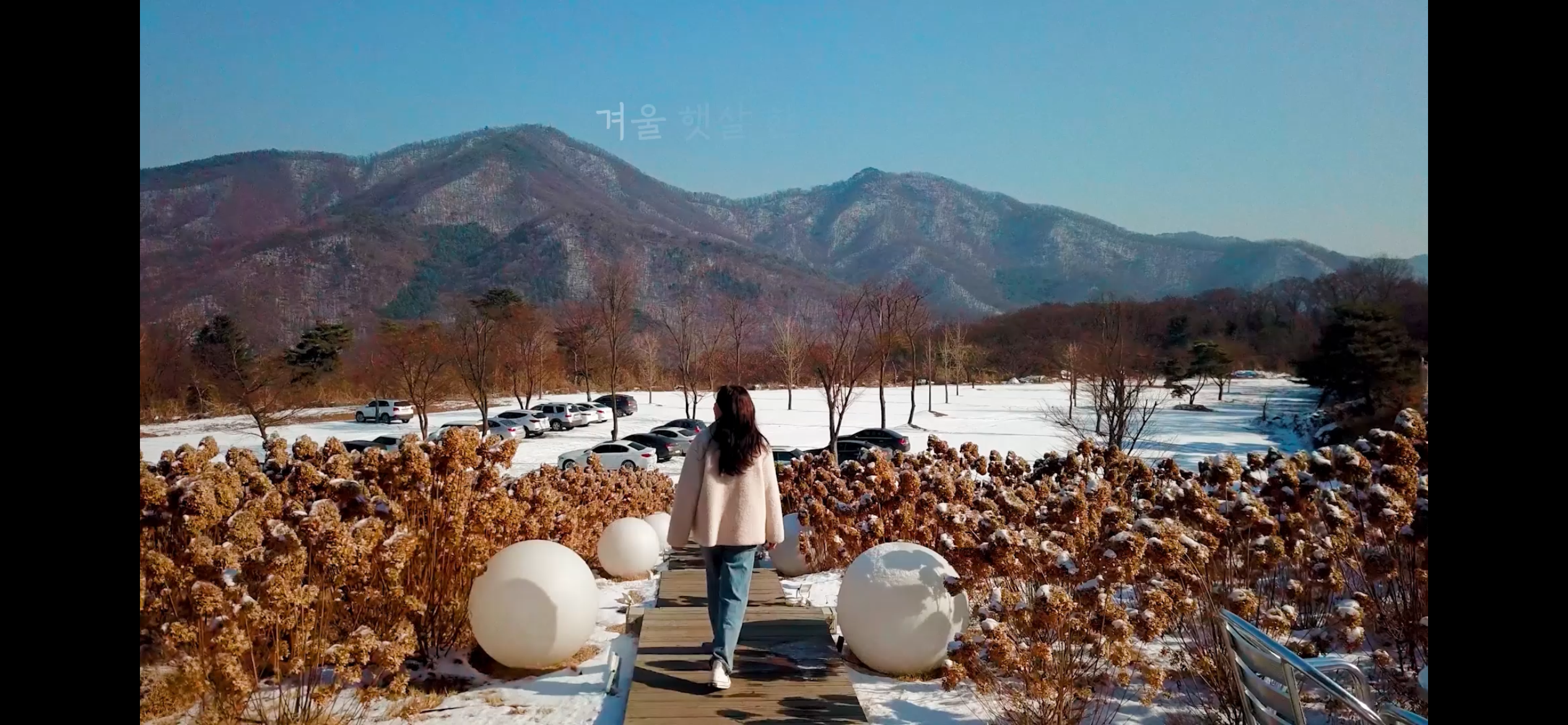 비루개 사진 3