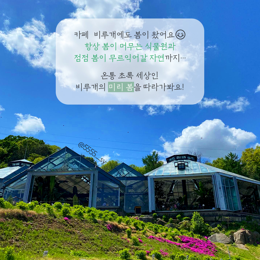 비루개 사진 4