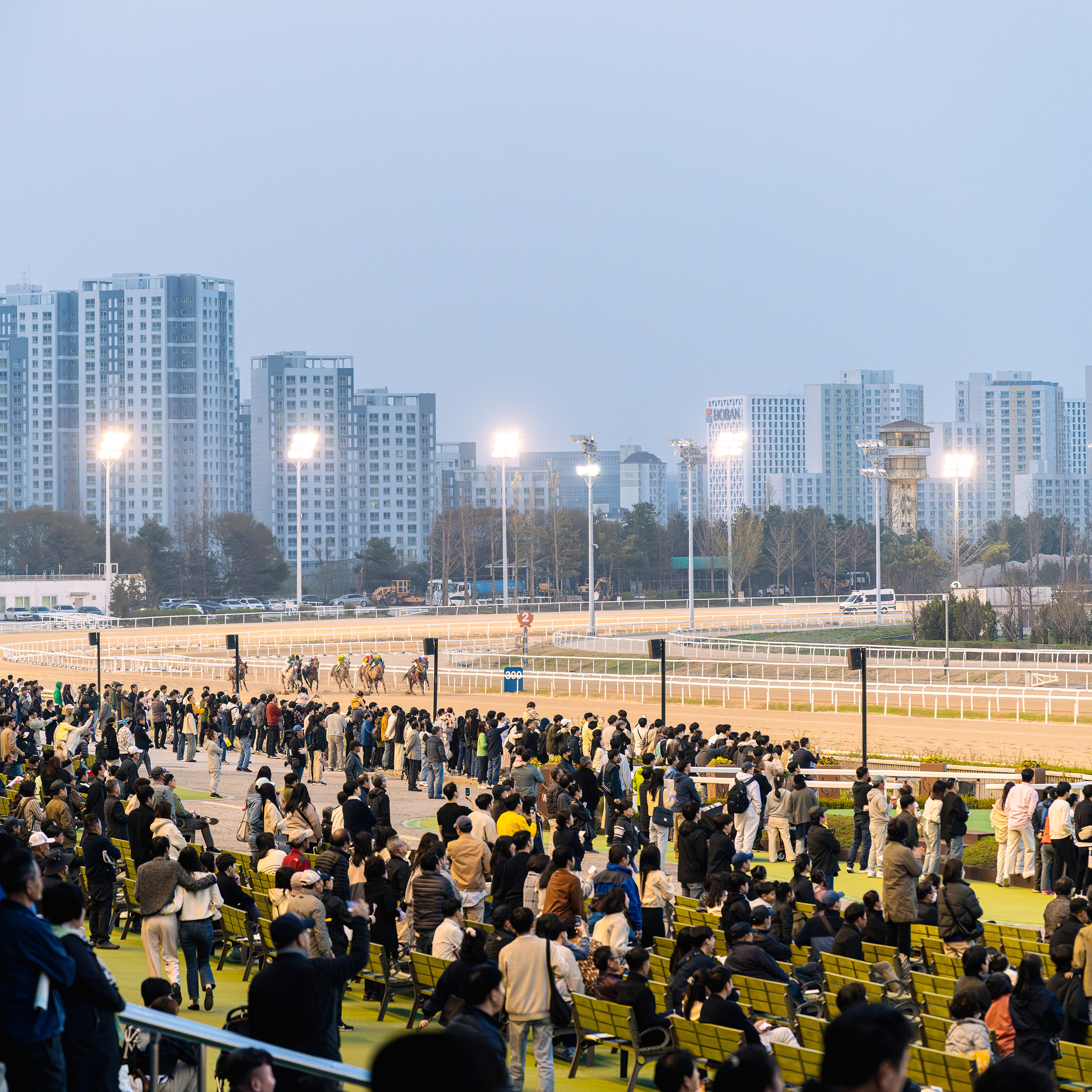 렛츠런파크 서울 사진 3