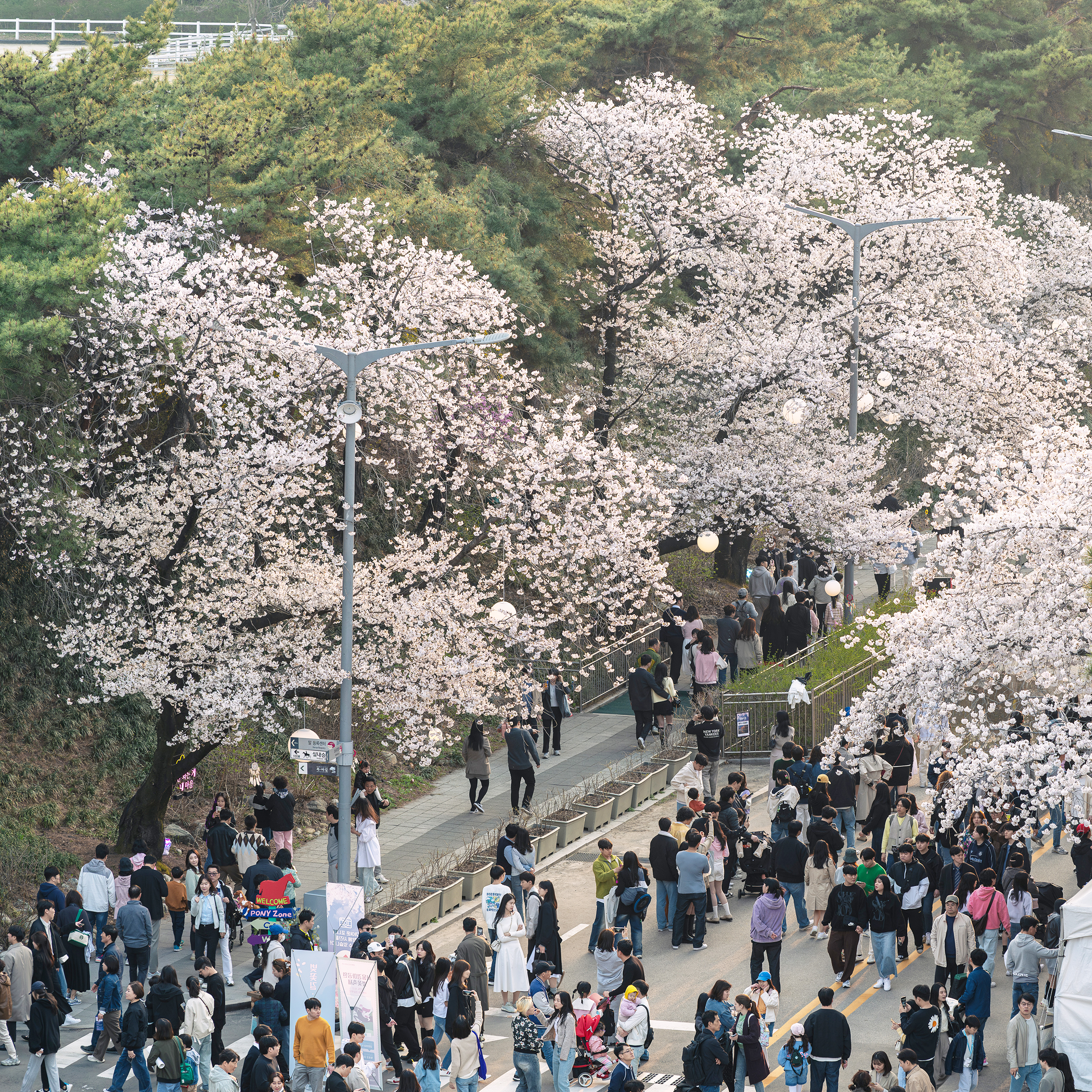 렛츠런파크 서울 사진 4