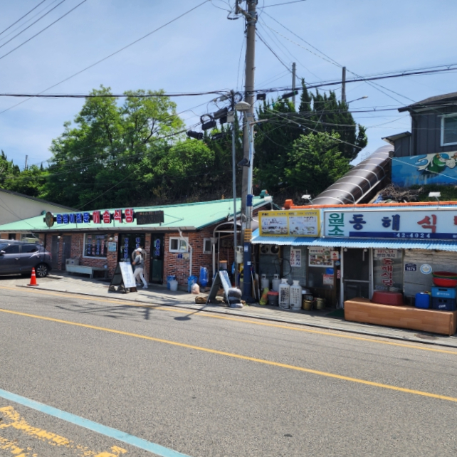 원조동해식당 사진 4