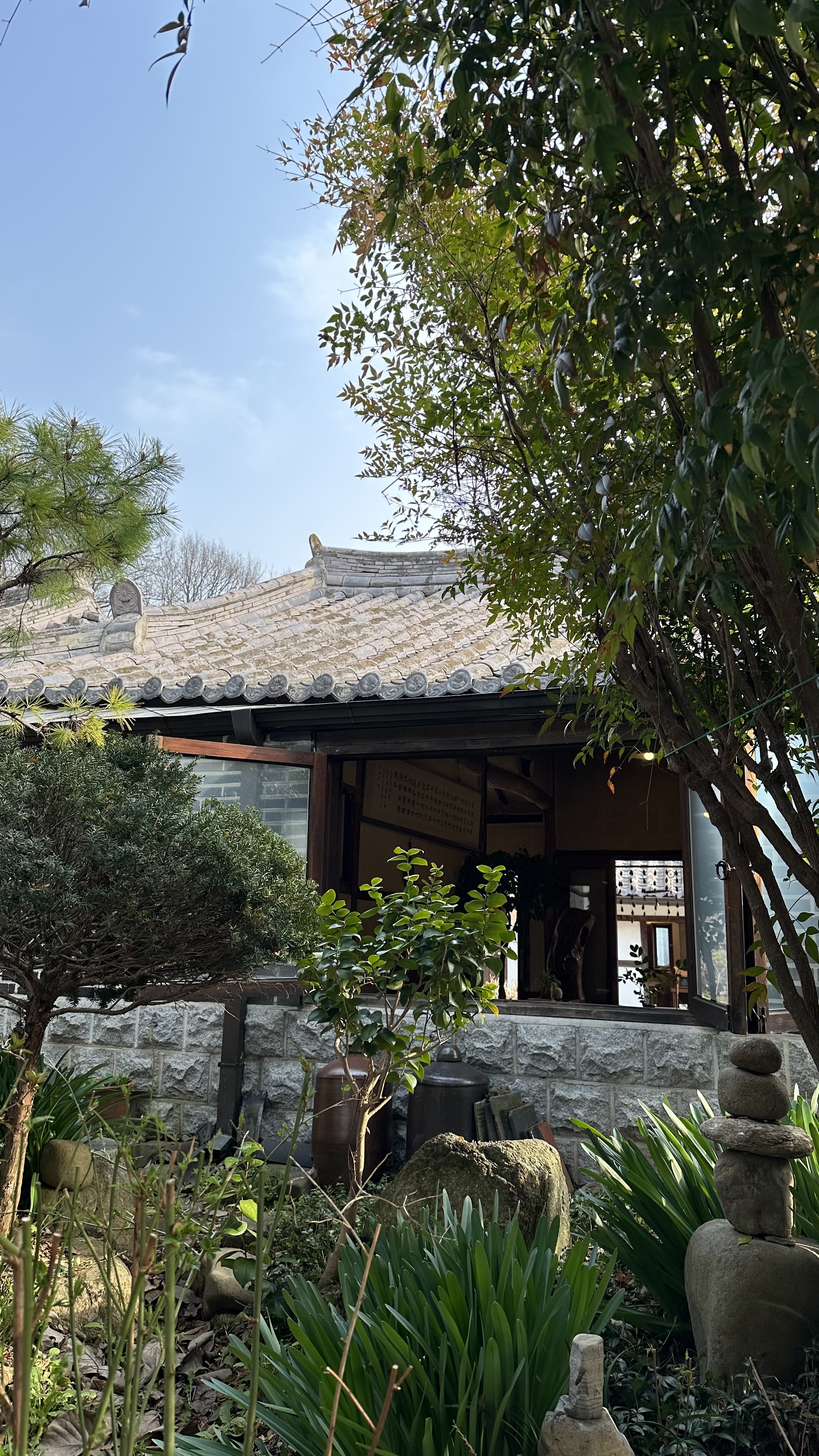교동다원 사진 1