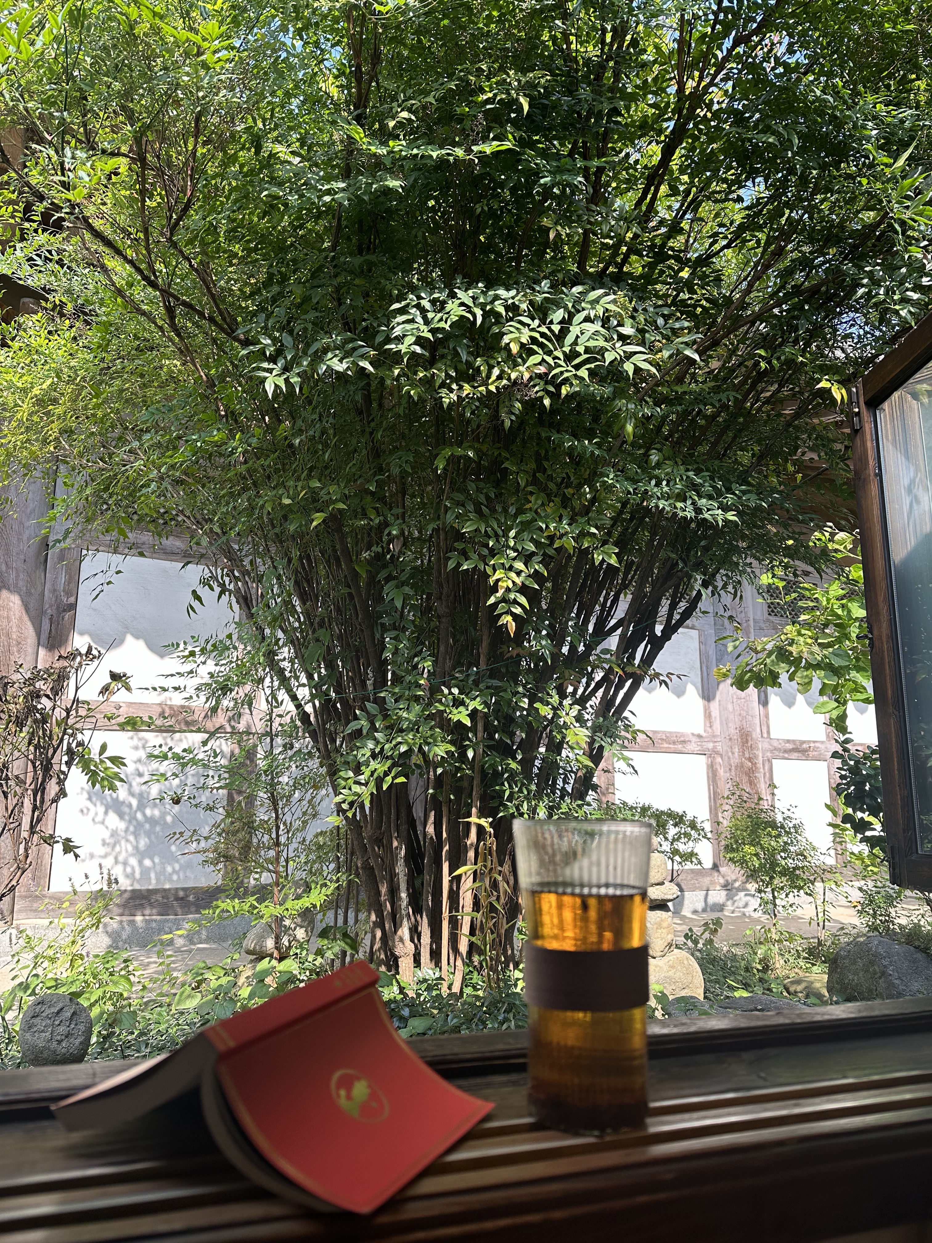 교동다원 사진 4