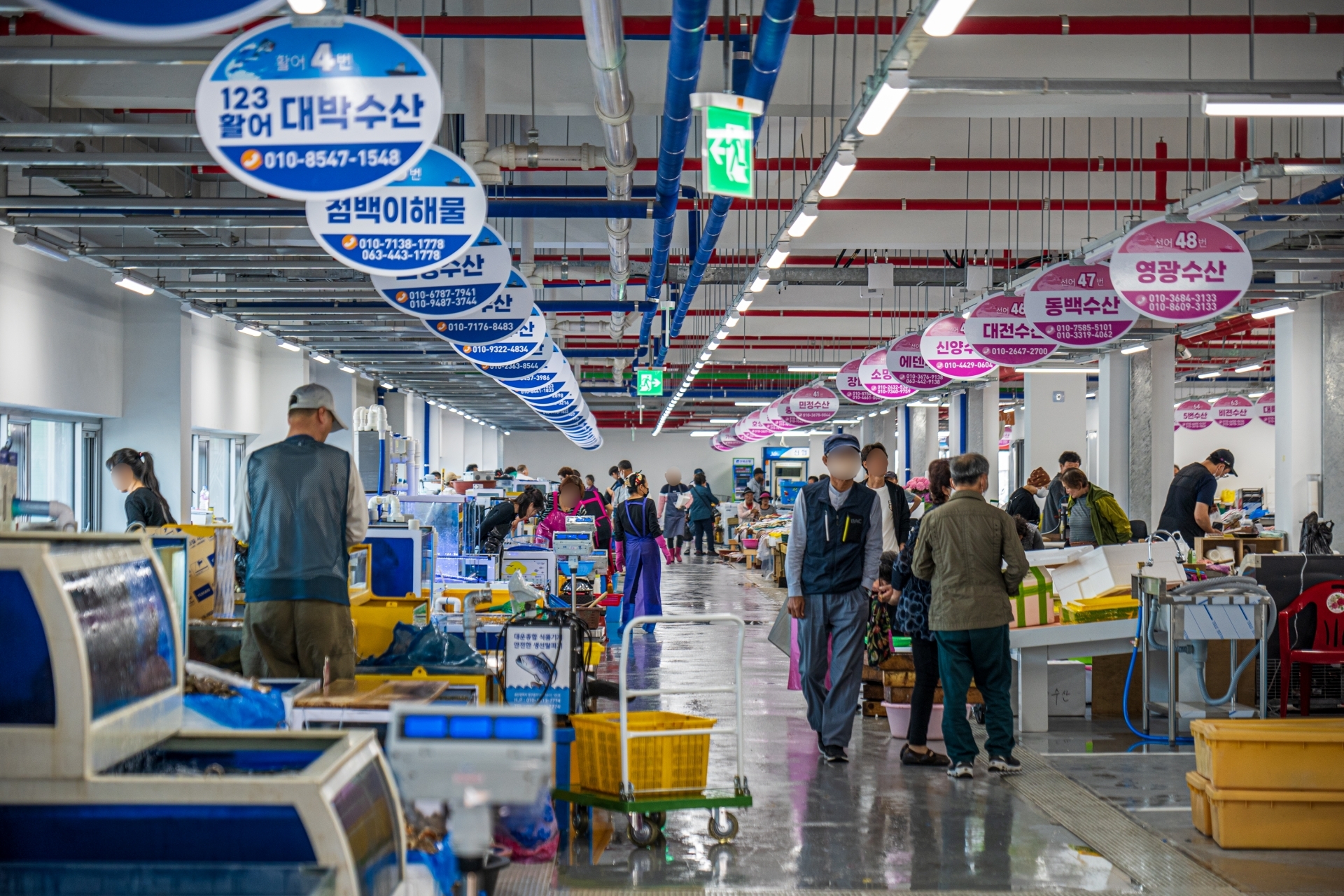 군산수산물종합센터 사진 1