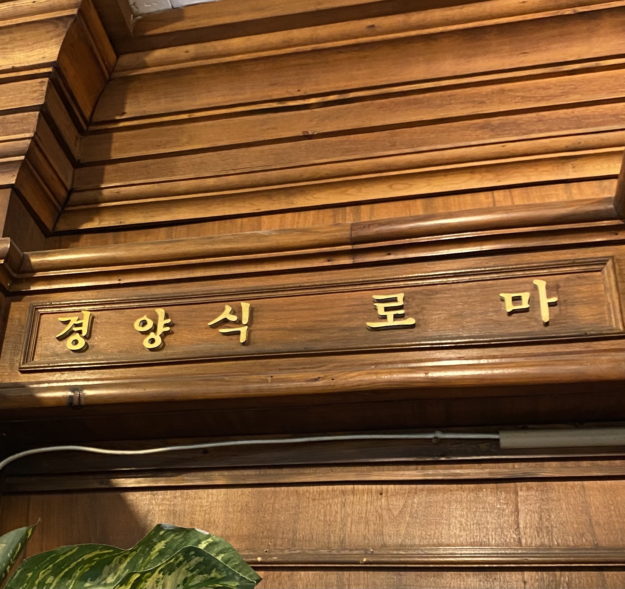 로마경양식 사진