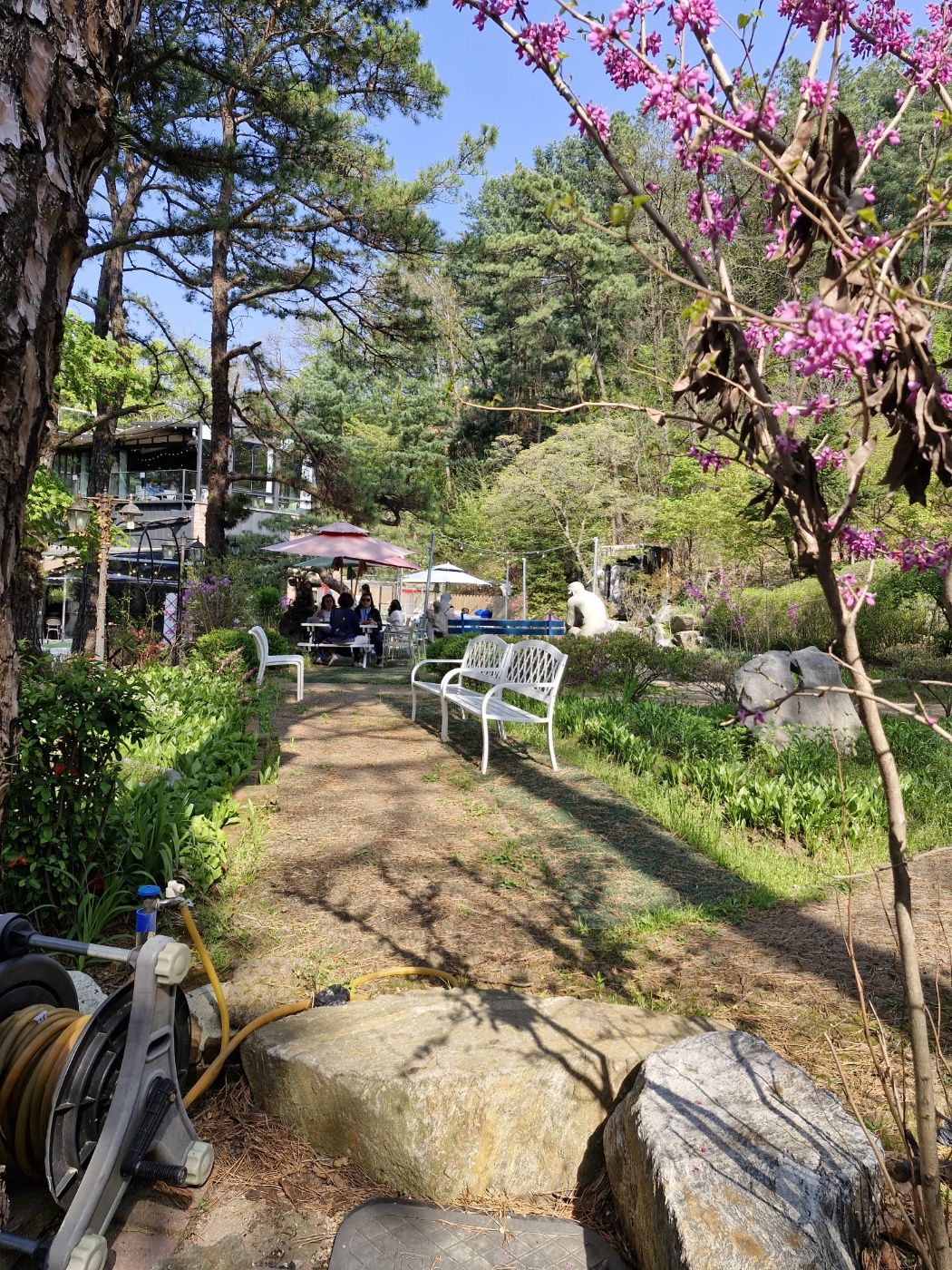 달리온 베이커리&카페 사진 4