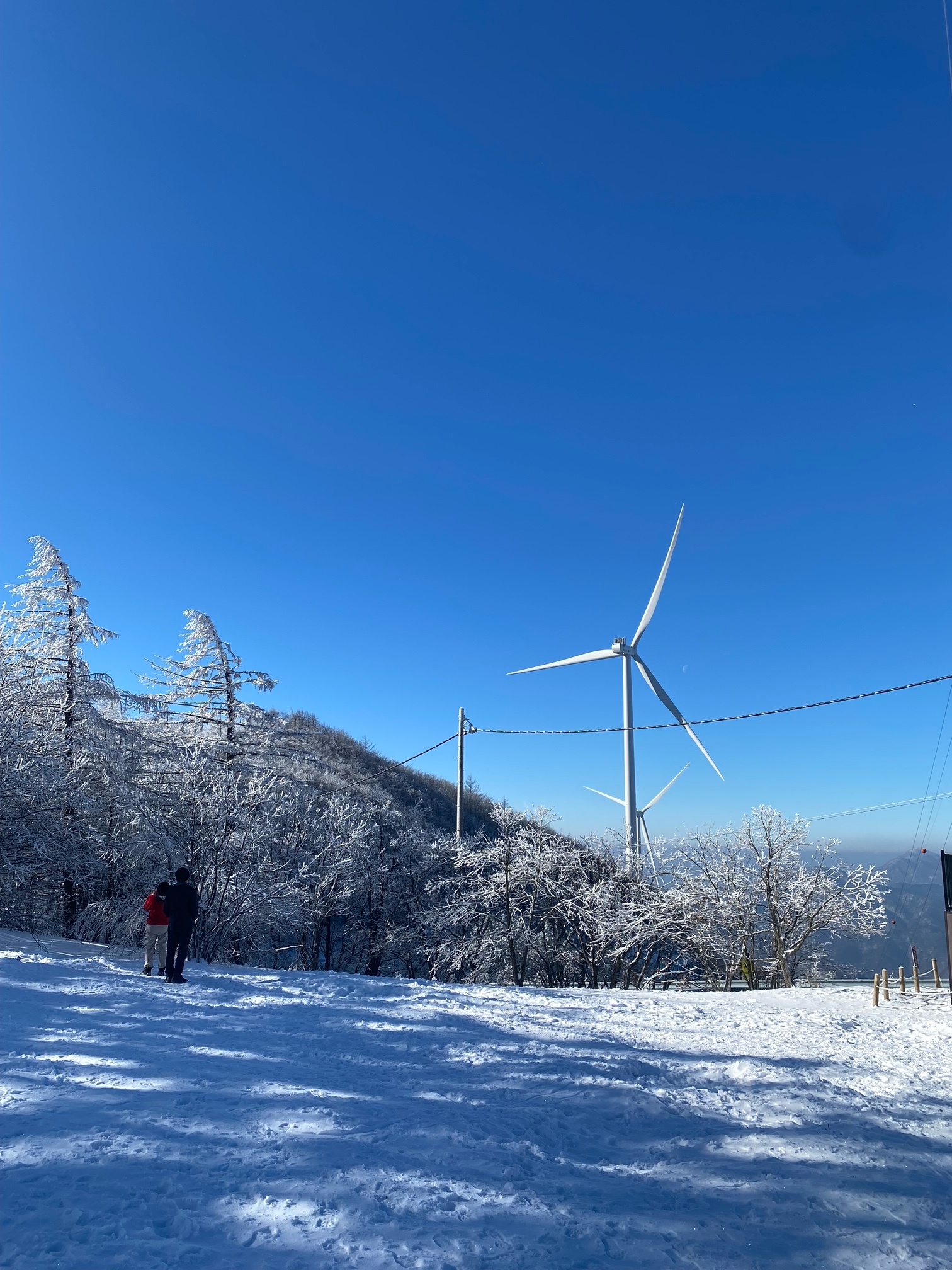 태백산국립공원 사진 1