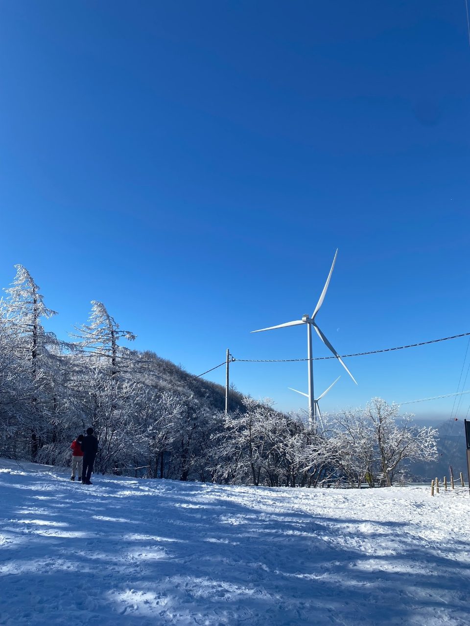 태백산국립공원 사진