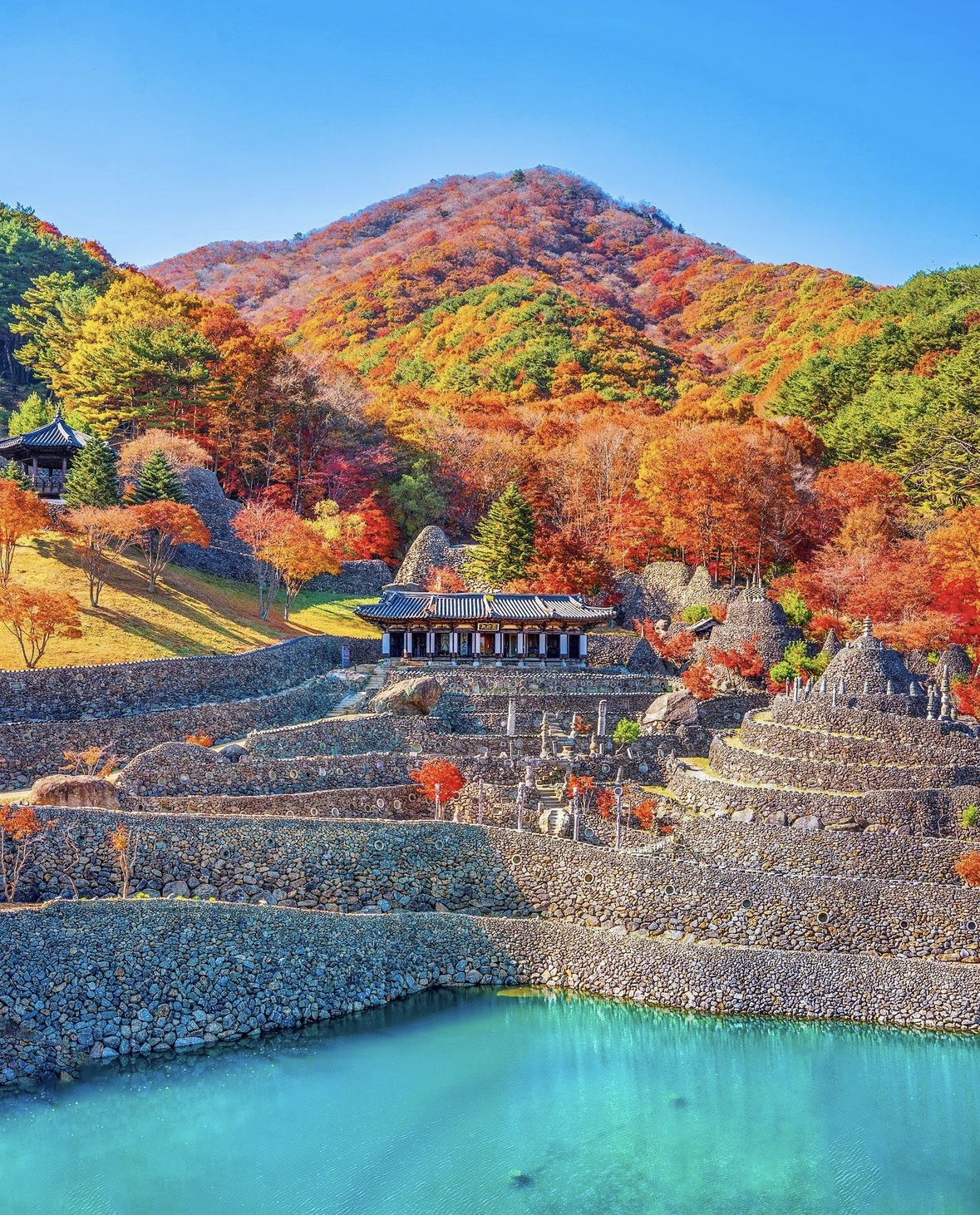 삼성궁 사진